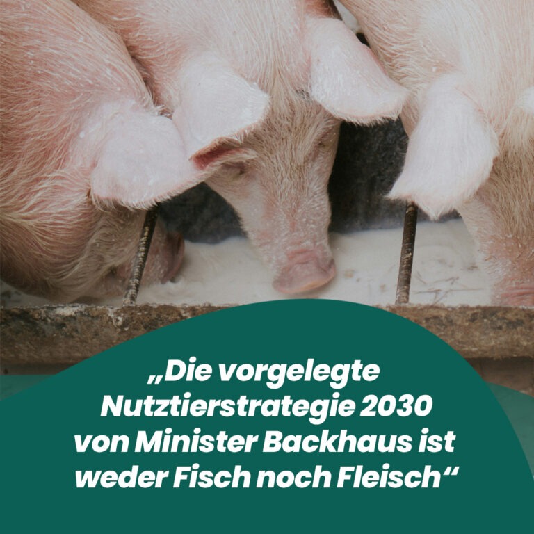 Nutztierstrategie 2030 ist weder Fisch noch Fleisch.